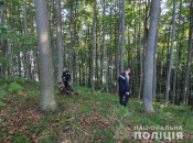 Полиция прочесывает лес в поисках детей