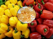 Лучший ранний болгарский перец