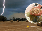 Грози з грімом і блискавками тривали кілька днів