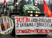 "Путин, наведи порядок с Украиной, Брюсселем и нашими чиновниками", — надпись на плакате