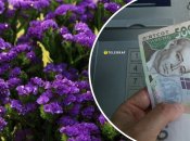 Заработок на цветах