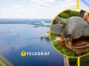 Иллюстративное фото