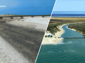 Заради наживи: окупаційна влада влаштувала черговий екоцид на окупованих територіях України