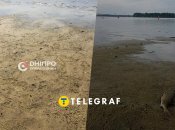 Остались лишь лужи: из-за пересыхания Днепра массово гибнет рыба (видео)