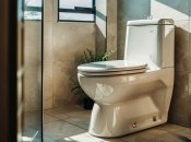 Деякі домовласники викидають відходи в унітаз