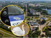 Червонокнижного птаха врятували в центрі України