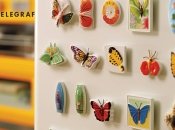 Эти привлекательные предметы могут являться источником проблем