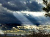 Солнце и дождь постоянно меняют друг друга