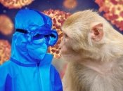 Болезнь зафиксировали уже во многих странах мира