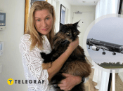 Колаж "Телеграфу"