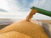 Что будет с украинским зерном в случае блокады морских коридоров