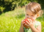 Дизентерия: заражение, лечение, профилактика