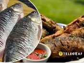 Смажені карасі з хрусткою скоринкою