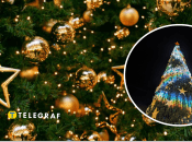 Закупівля ялинкових кульок в Чернівецькій області