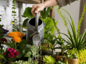 Вода может причинить вред