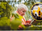 Работа для пенсионеров