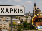 Необычное животное заметили в городе