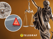 Житель Одесской области пытался объехать стадо овец и сбил ребенка