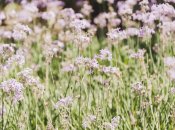 Сегодня 3 сентября 2024