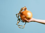 Как правильно сажать репчатый лук - советы огородникам