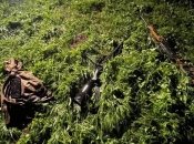 Місце події