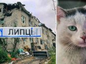 Взгляд у Лафета почти человеческий – глубокий и немного задумчивый