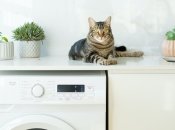 Як скоротити споживання електроенергії під час прання в 2 рази: що потрібно зробити з пральною машинкою