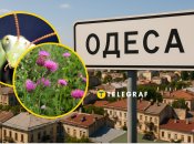 Летучие гости мигрируют по Украине