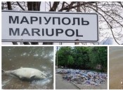 Свалки мусора и трупы рыбешек – признак не лучшей экологии