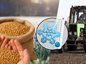 Як погода вплине на культуру