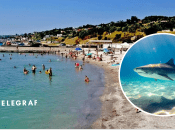 В Україні стався кумедний курйоз на морі