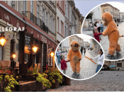 Во Львове обезьяне-аниматору оторвали хвост