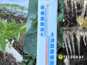 Заморозки в Україні