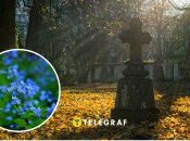 Как экологично почтить умерших