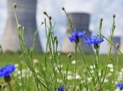 Ровенская АЭС летом