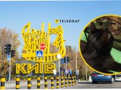 Находка в Киеве