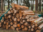 Дрова - настоящее спасение зимой