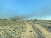 Хмари чорних мошок лякають росіян