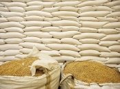 Украинское зерно пытаются вывозить по суше