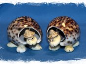 Як мова відображає наше сприйняття світу