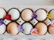 Куриное яйцо – очень популярный продукт