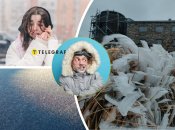 Українців "накрили" заморозки