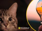 У деяких районах Києва зникло світло 8 квітня