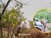 Полонені бійці