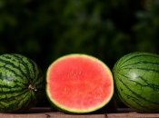 Аграрный сектор будет постепенно восстанавливаться