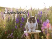 Розібралися, кого вітаємо з Днем ангела 6 серпня