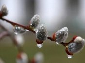 Весна уже на пороге