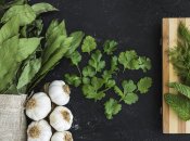 Узнайте, как вырастить петрушку дома