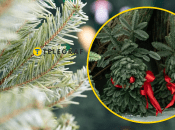 Фото Коллаж "Телеграфа"