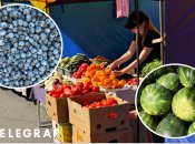 Ярмарки у столиці проводяться щотижня